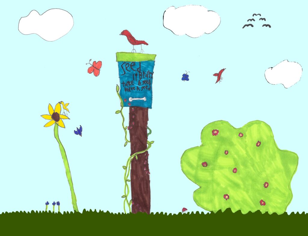 Children's drawing of a seed library